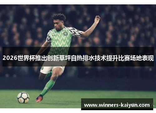 2026世界杯推出创新草坪自热排水技术提升比赛场地表现 2026世界杯推出创新草坪自热排水技术提升比赛场地表现